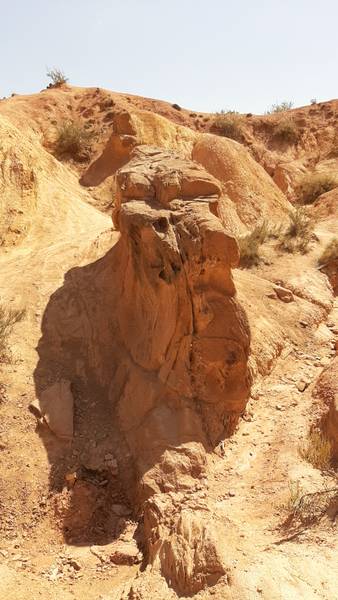 Новосельцева Н 