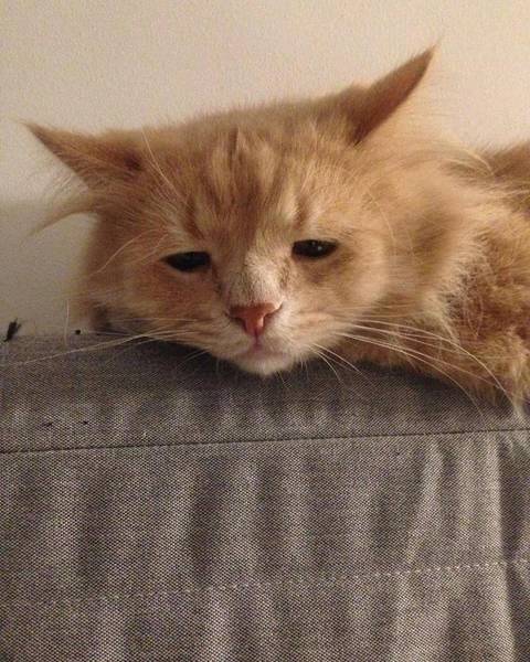 Нана Филатова 