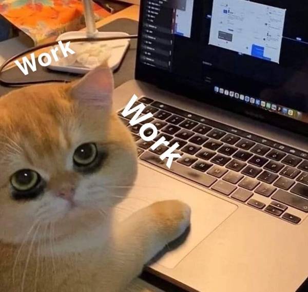 А я работаю 🫡 