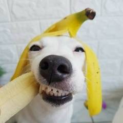 Анастасия Ремер 