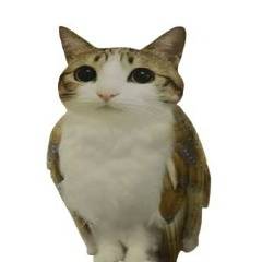 Лиза Назарова 