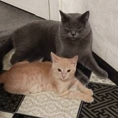 Евгения Белицкая 