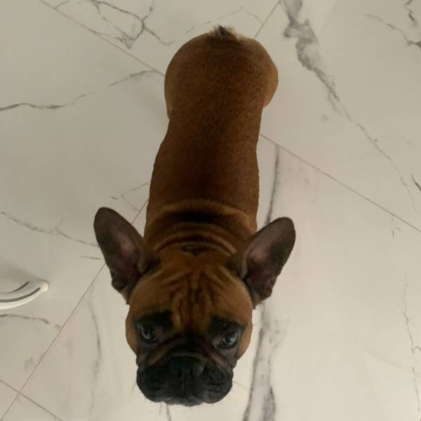 Предварительно измерить 