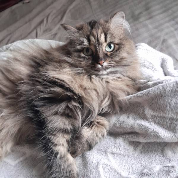 Ульяна Н. 