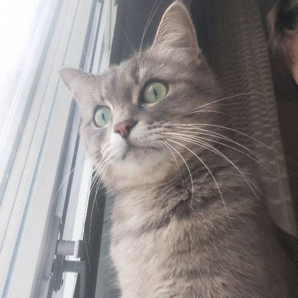 Архип Попов 