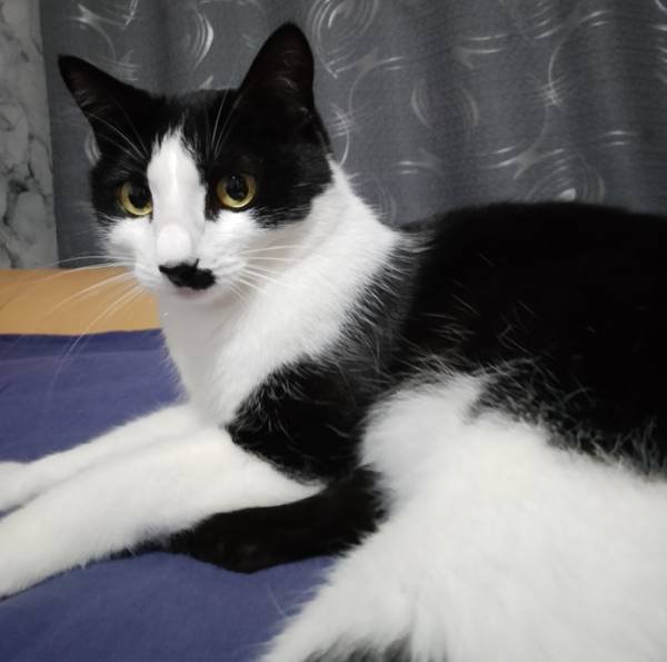 Александр Сенотрусов 