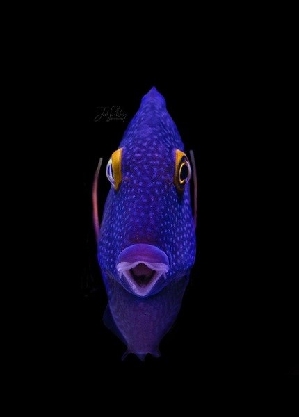 Виктория Бычкова 