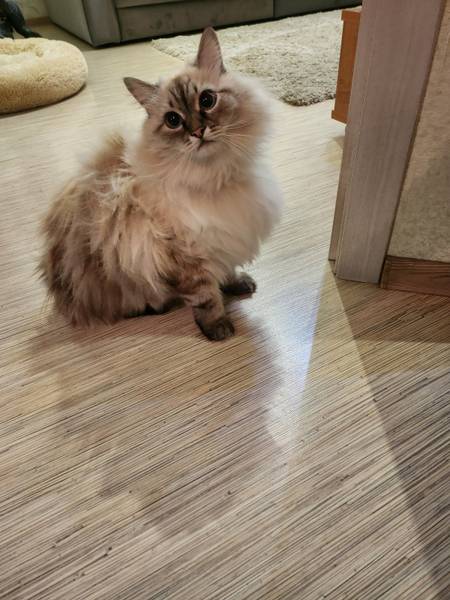Балласт на подводной лодке 