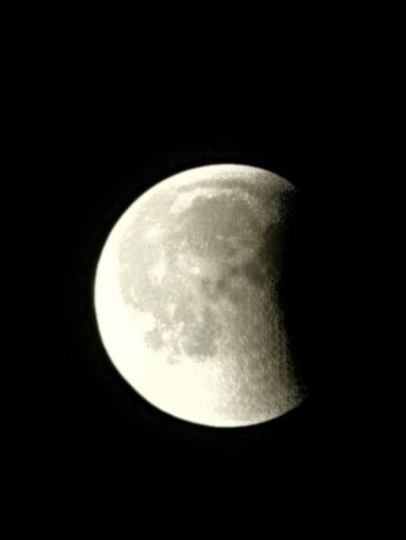 Наталья Антонова 