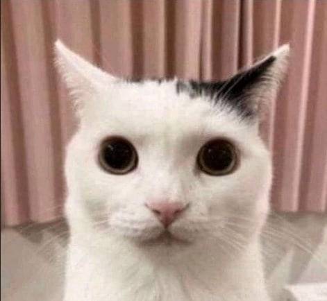 Оптимистичный Камень 