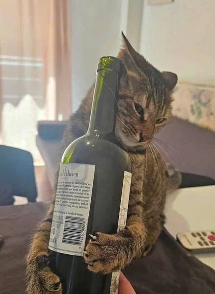 Пиражок 