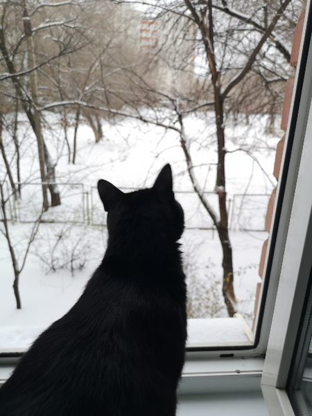 Юлия Ломакина 