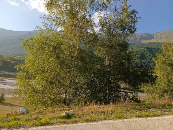 Екатерина Захаревич 