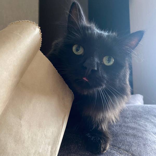 Диана Саломасова 