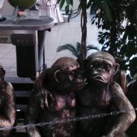 Татьяна Соколова 