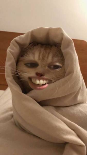 Гермиона Г. 