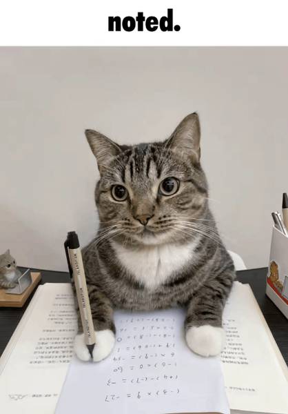 Чебурек с картошкой 