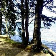 Нина Семененко 