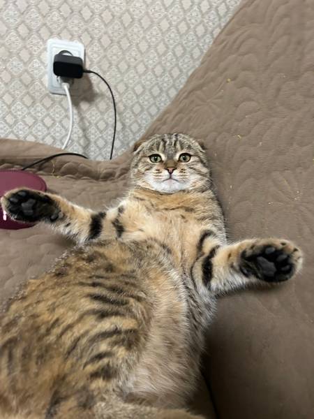 Ибрахим Гараев 