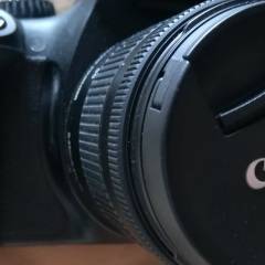 Елена Фотограф 