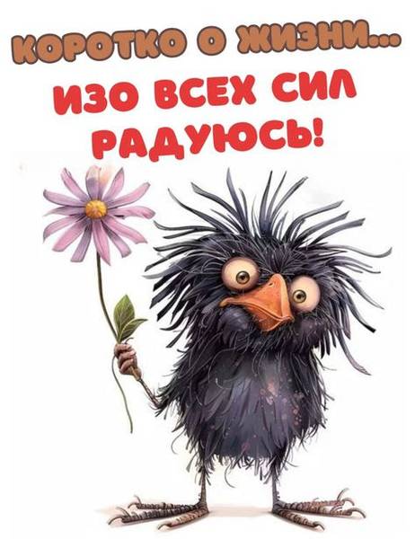 ИрмаКу 
