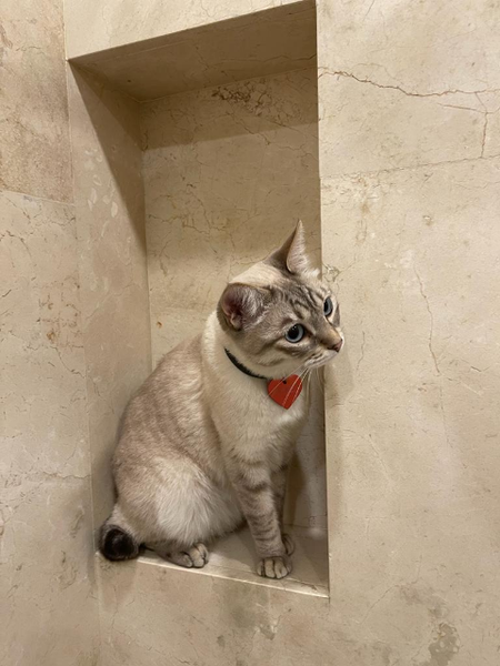 Инокентий Чурдалев 