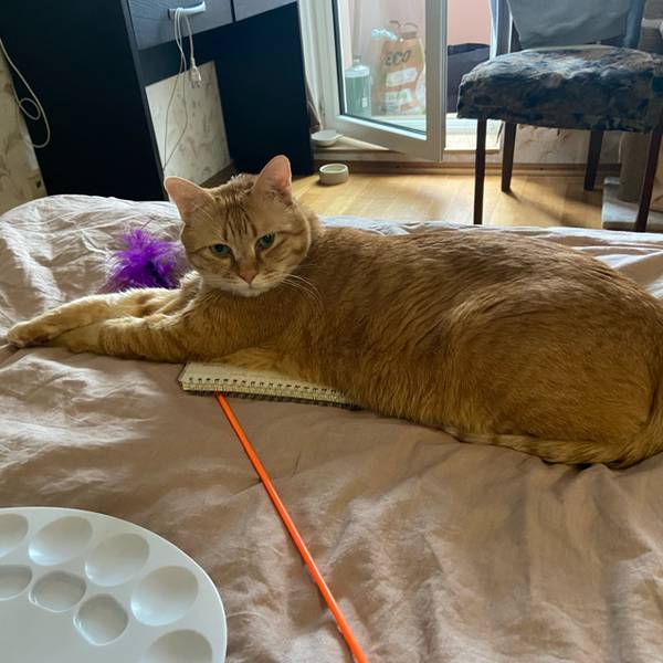 Аватар автора