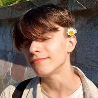 Виктор Чаплыгин 