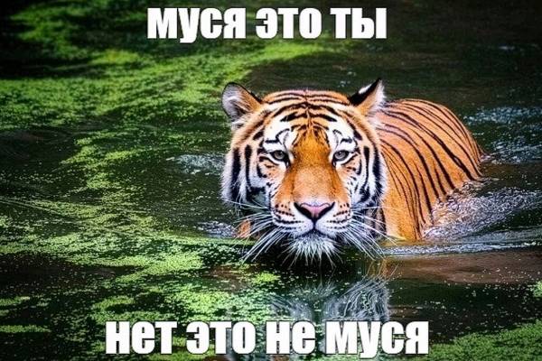 Семен Полунин 