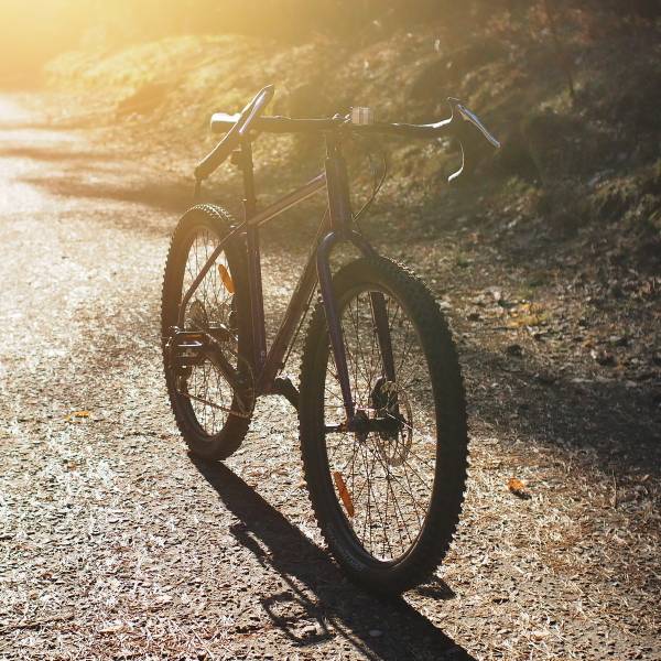 Виктор Шейман 