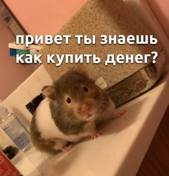 Кто кто? 