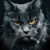 John Silver 