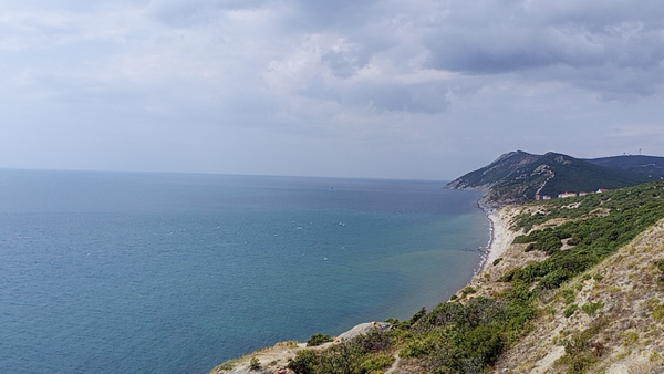 Законченная реалистка 