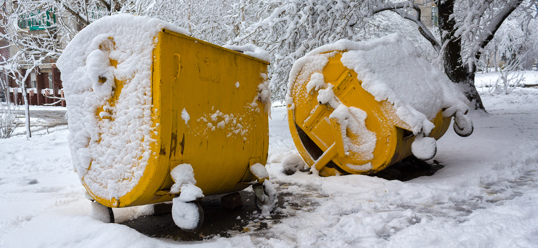 Управляющие компа­нии теперь обязаны следить, все ли ​жители платят за вывоз мусора