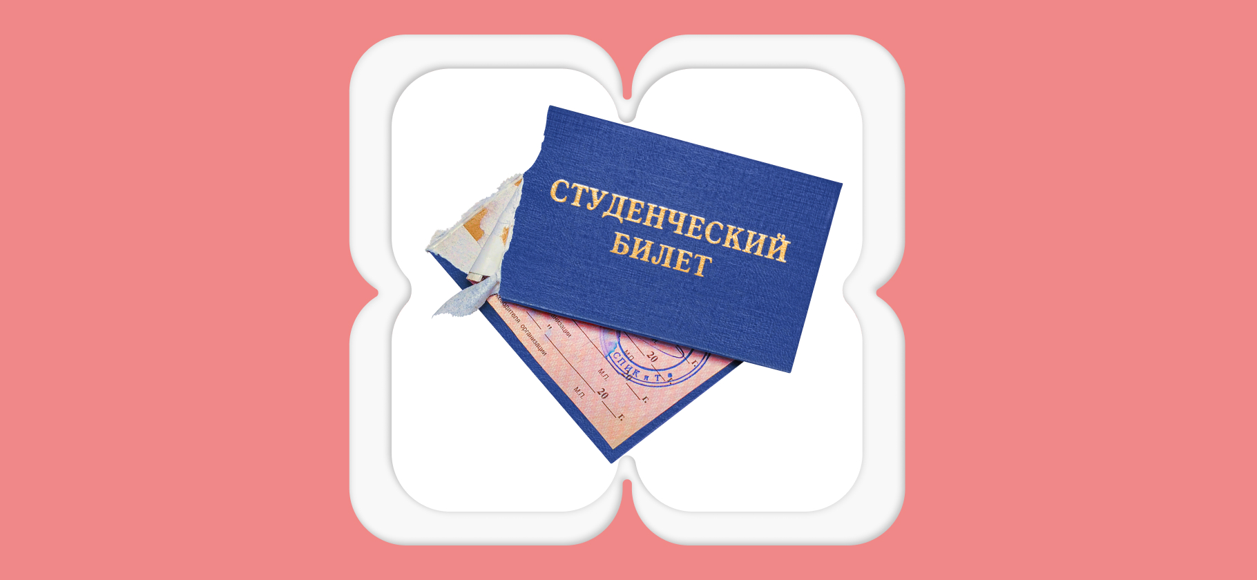 «Учебный процесс был выстроен просто абсурдно»: 6 недостатков российских вузов