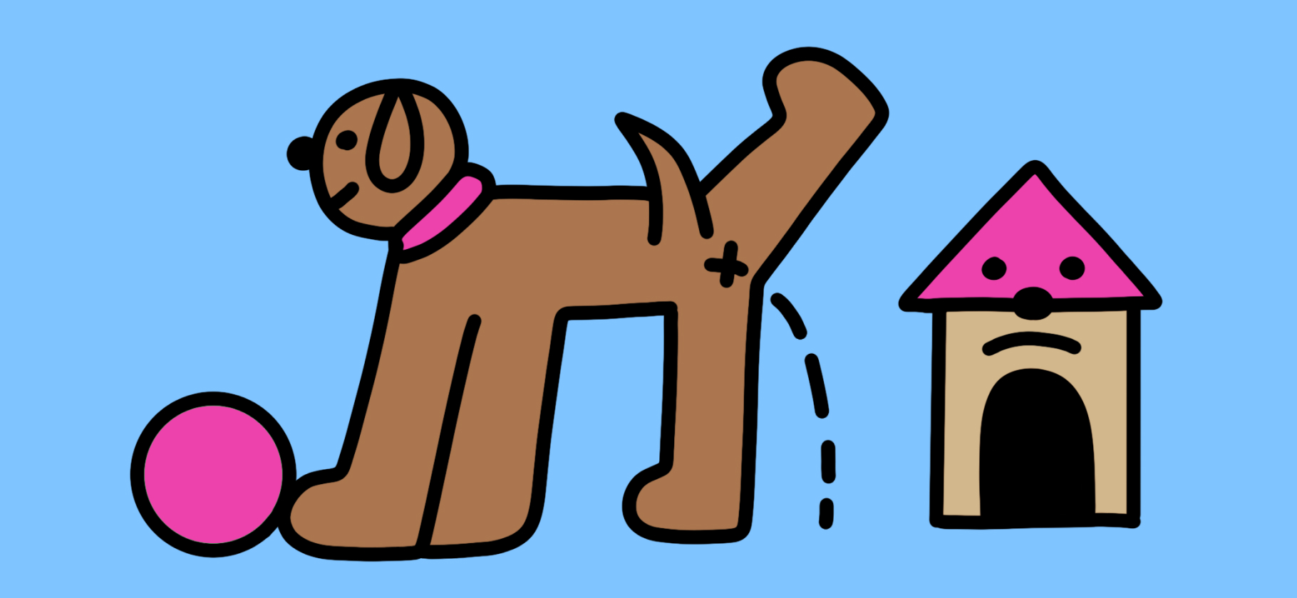 Чему не надо учить собаку: 5 популяр­ных навыков и команд