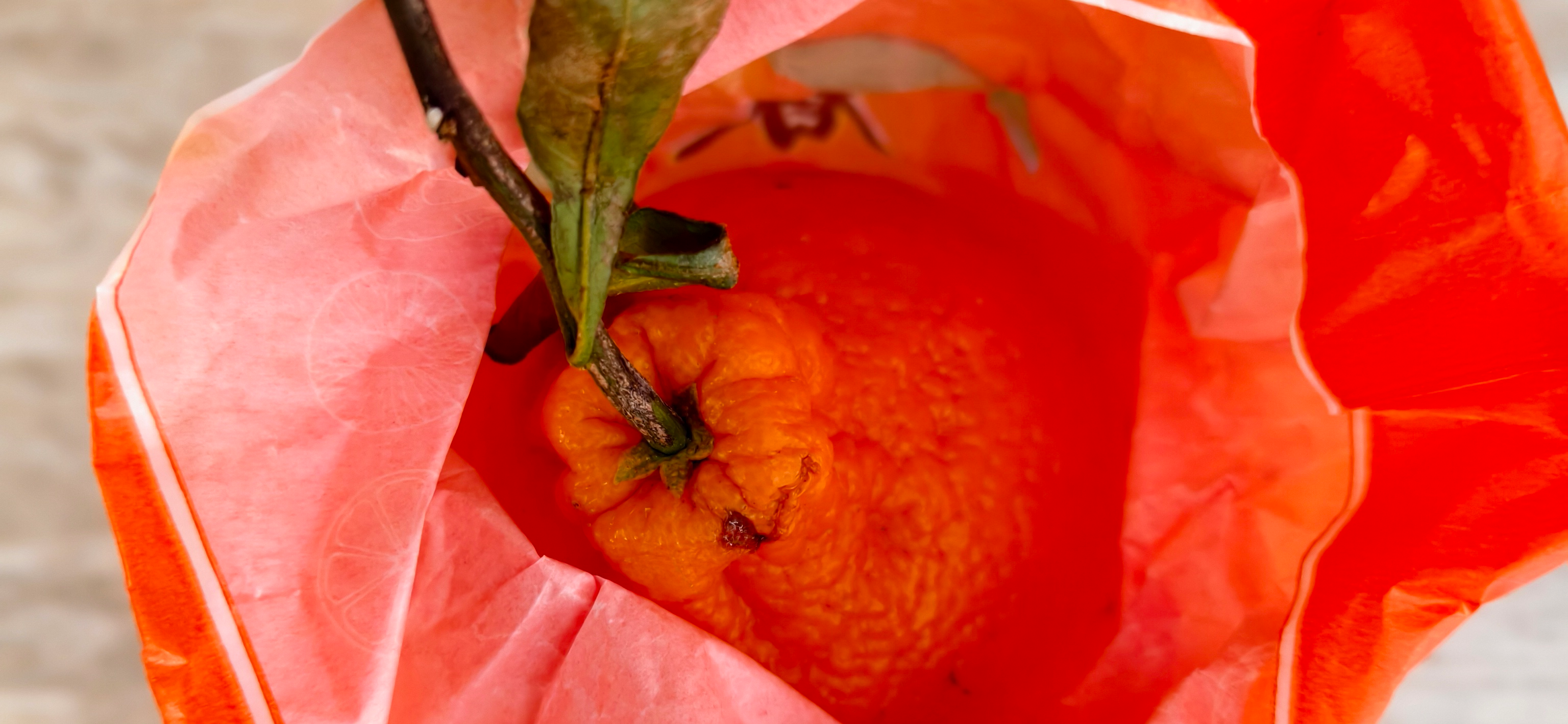 Бесит бесполезная, загрязняющая природу упаковка на мандаринах