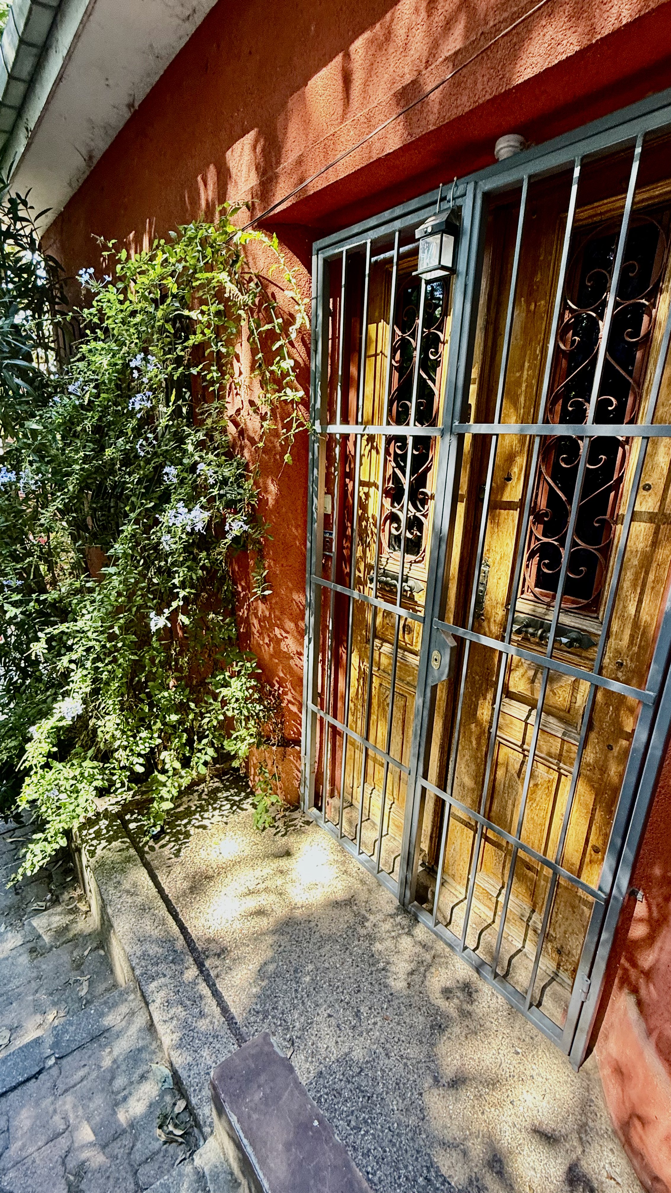 Маленький ворон с большим характером: как я побывала в районе Кузгунджук в Стамбуле