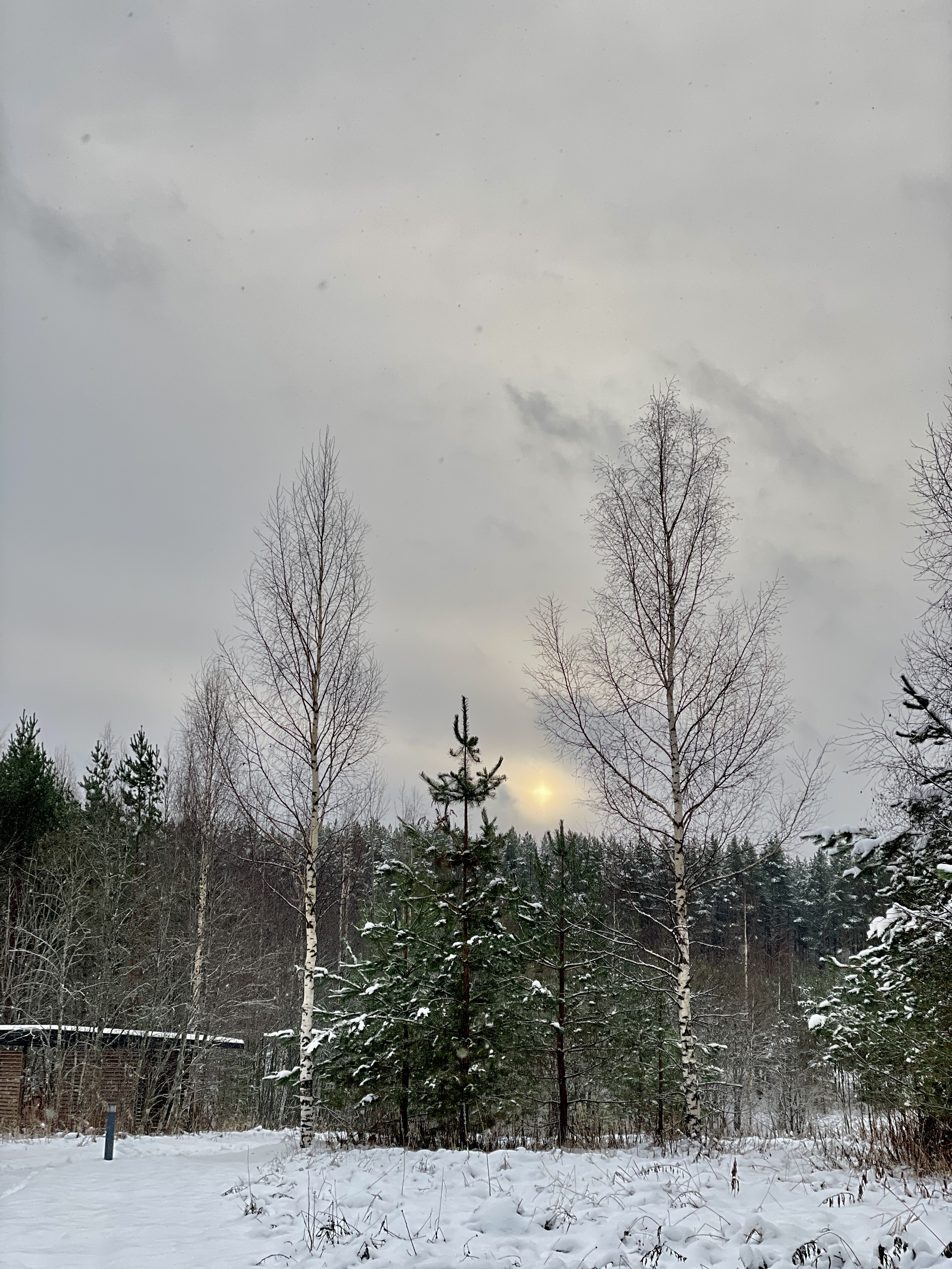 Фотоальбом: как я провела выходные в Лодейном Поле в Ленинградской области