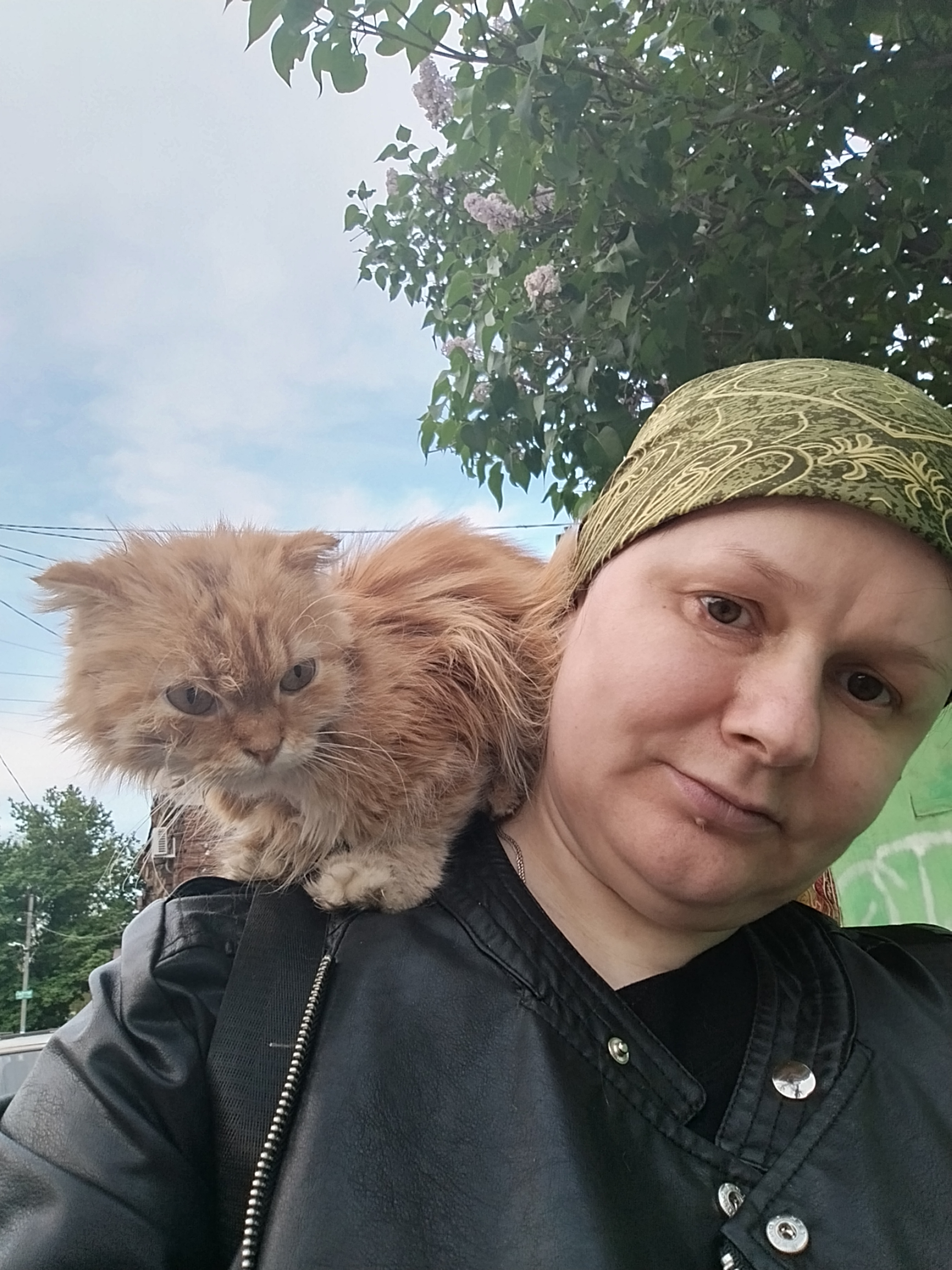 До и после: кошка, когда ее забрали домой, и спустя 4 месяца