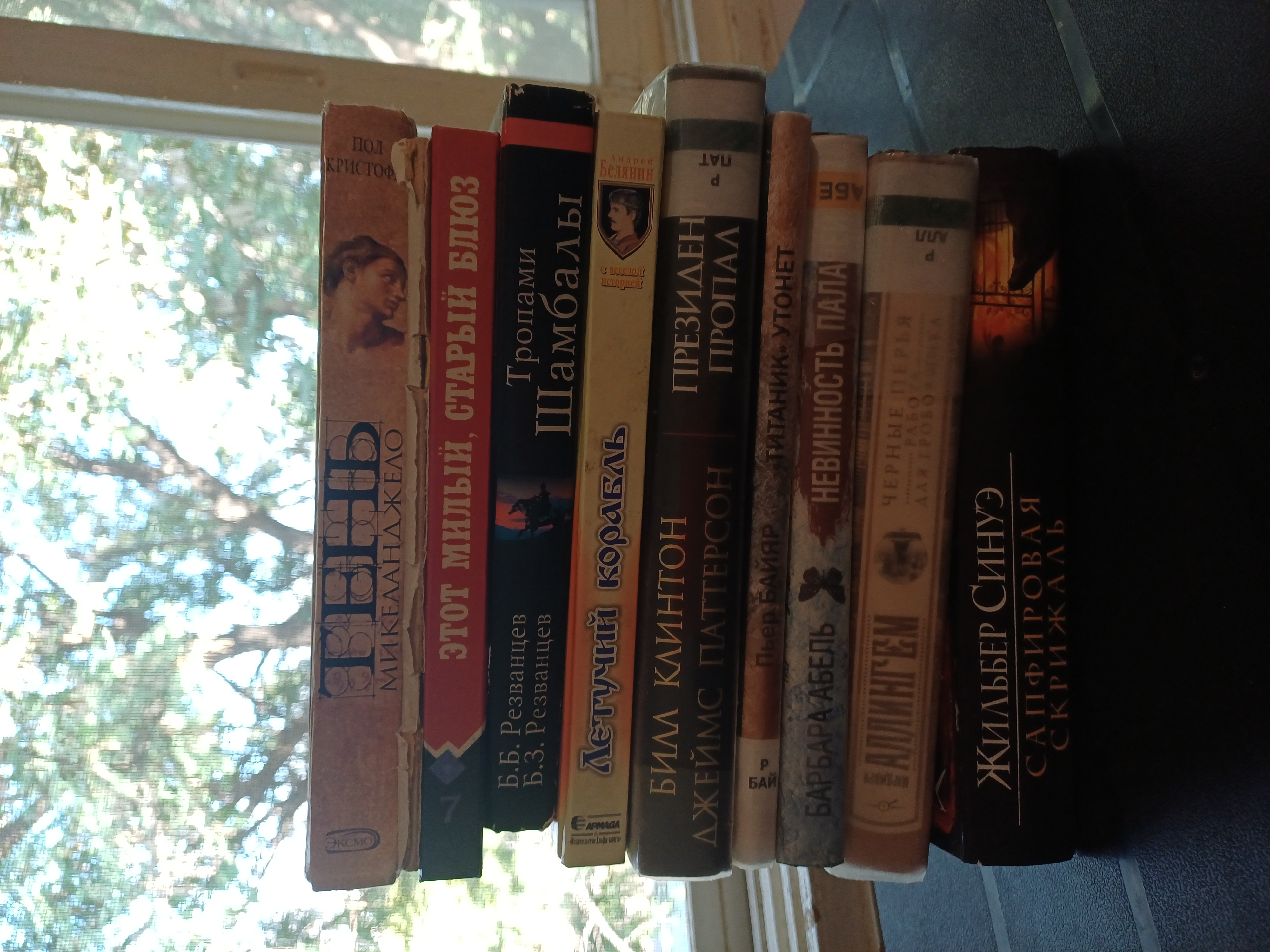 Я планирую прочитать за 2026 год 24 книги на трех языках