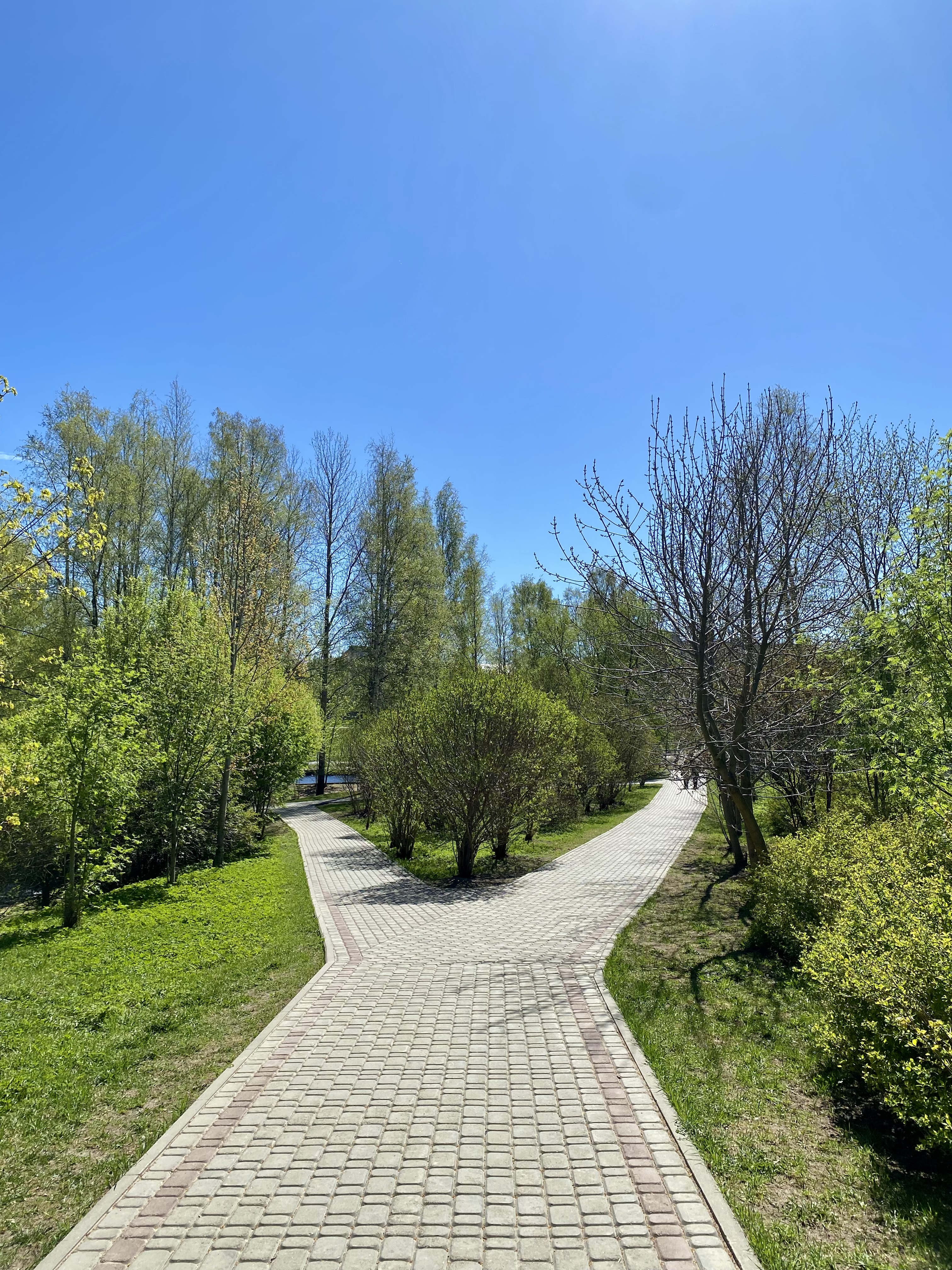 Съемка дороги: парк