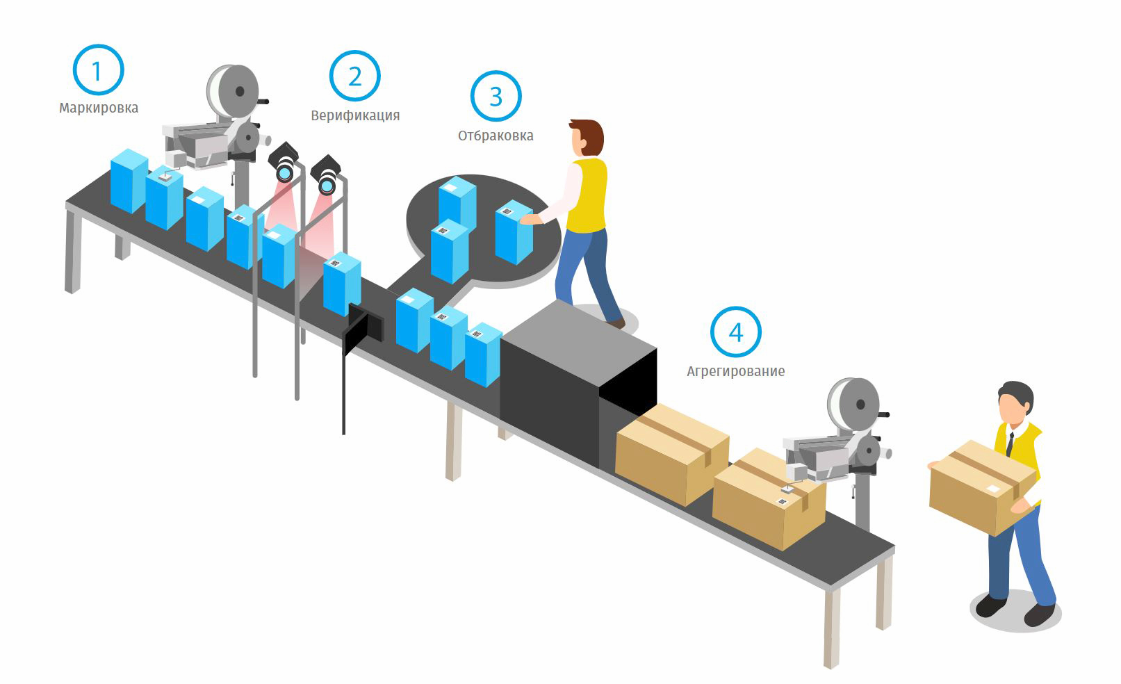 Маркировка в «Честном знаке» в 2026 году: вопросы и ответы