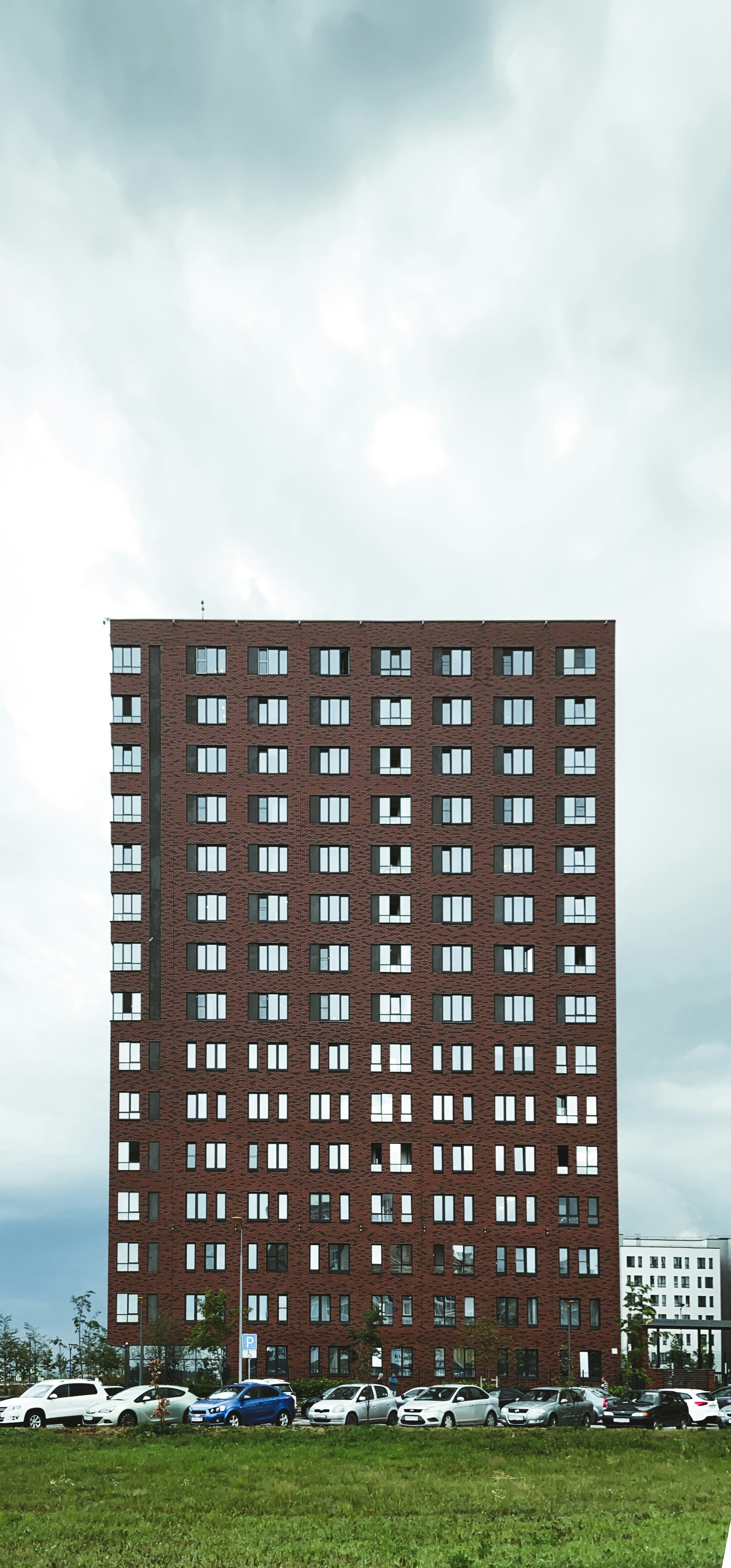 Безрисковая посредственность: как данные рынка мешают создавать по-настоящему смелые проекты