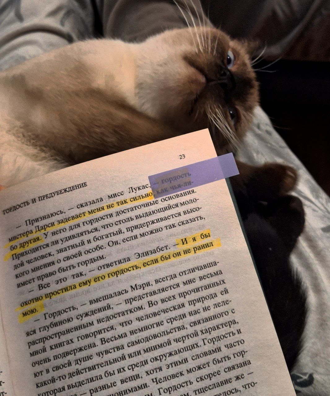 Как дисциплина помогает мне чувствовать жизнь