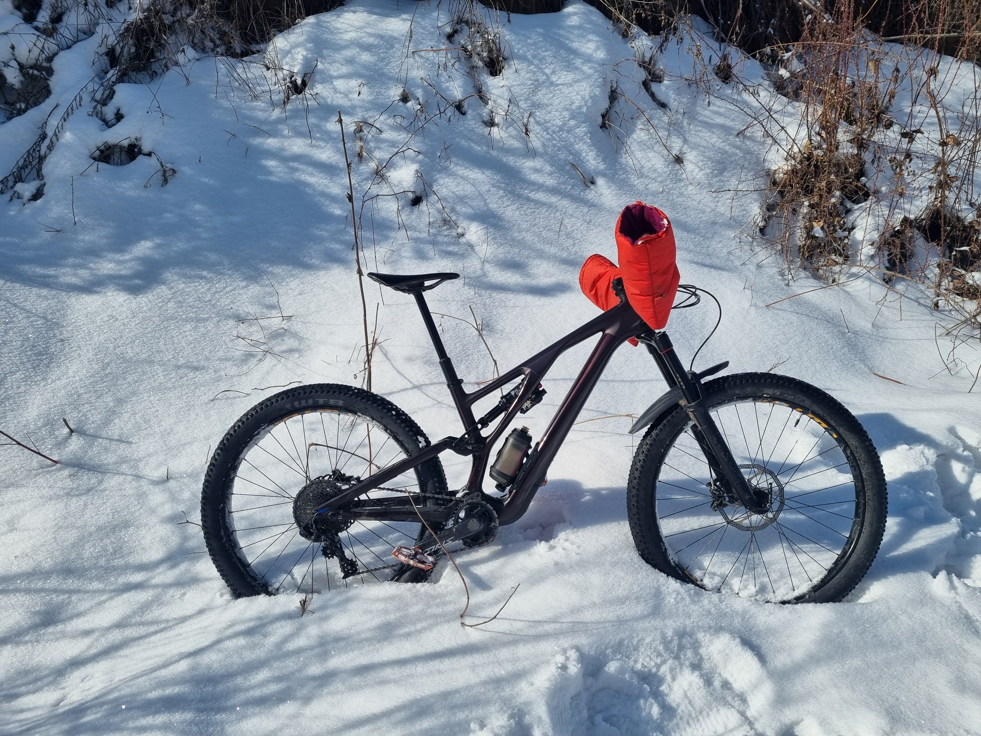 Я езжу на велосипеде Specialized Stumpjumper EVO 2023