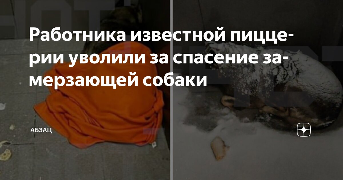 «ДоДопотрясение»: как доброта курьера стала репутационным кризисом для целой сети