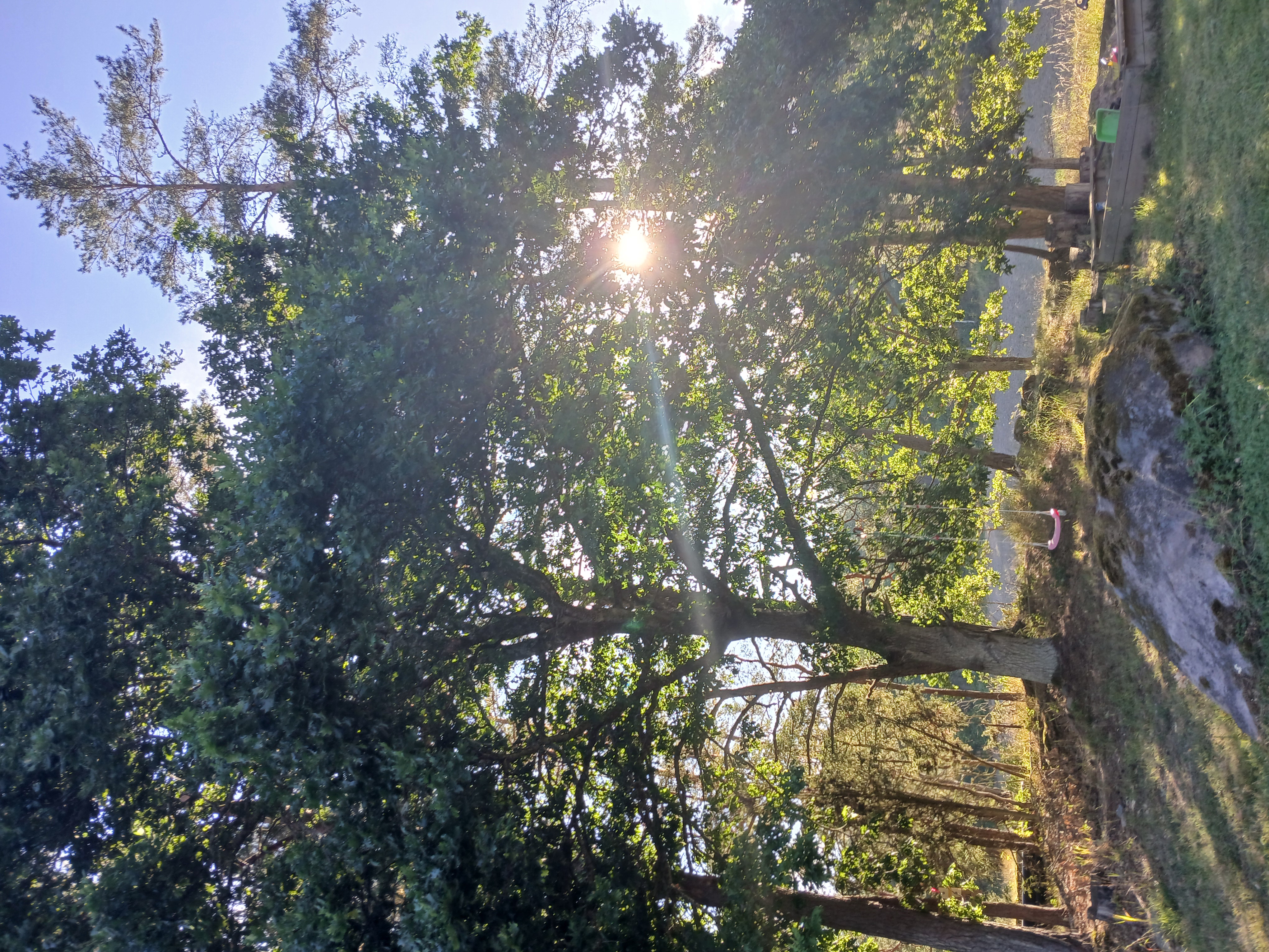 Я получила второе высшее образование в университете города Линчепинг в Швеции