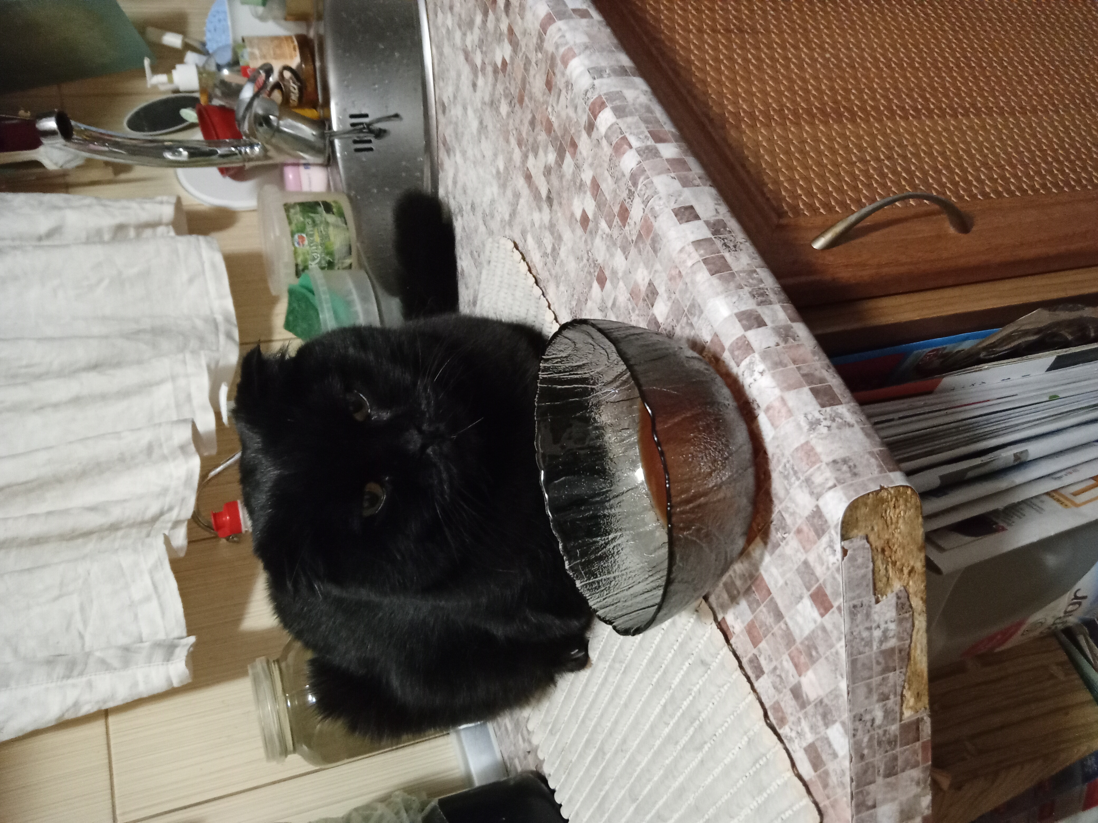 Фото питомца: кот Мишель после обеда