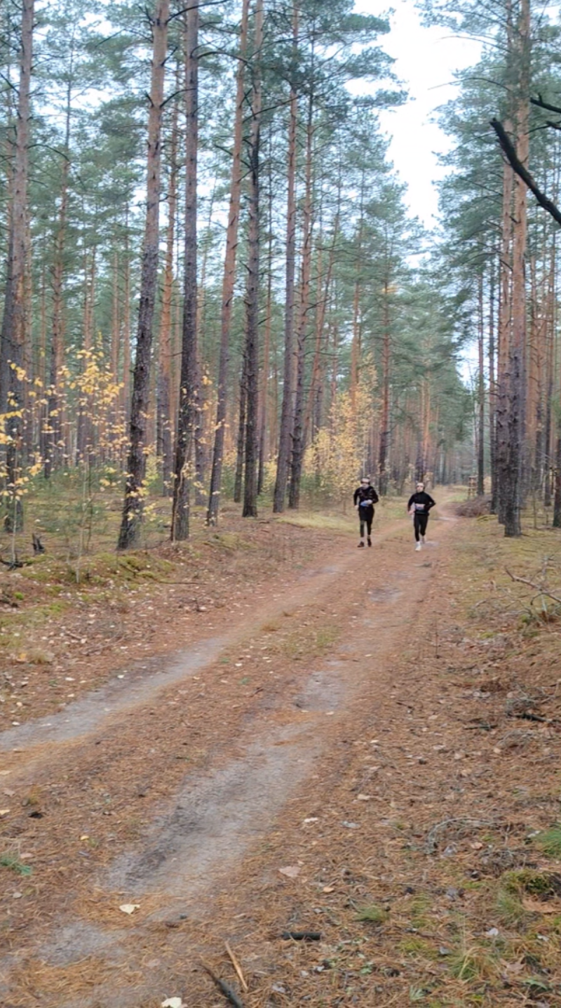 Как я пробежал ультратрейл 53 км и выгорел